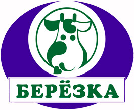 berezka_logo